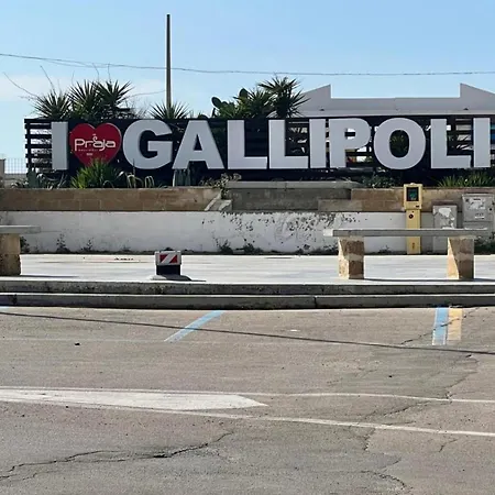 Timone Gallipoli
